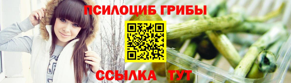 Галлюциногенные грибы Magic Shrooms  хочу   Междуреченск  Вход с VPN 